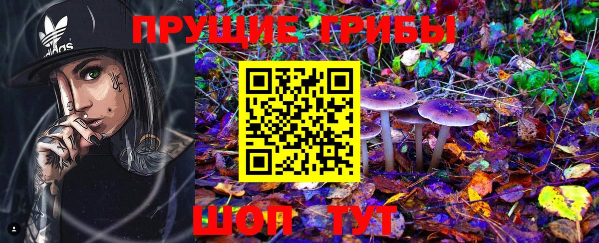 Санкт-Петербург  Галлюциногенные грибы GOLDEN TEACHER  Вход с VPN 