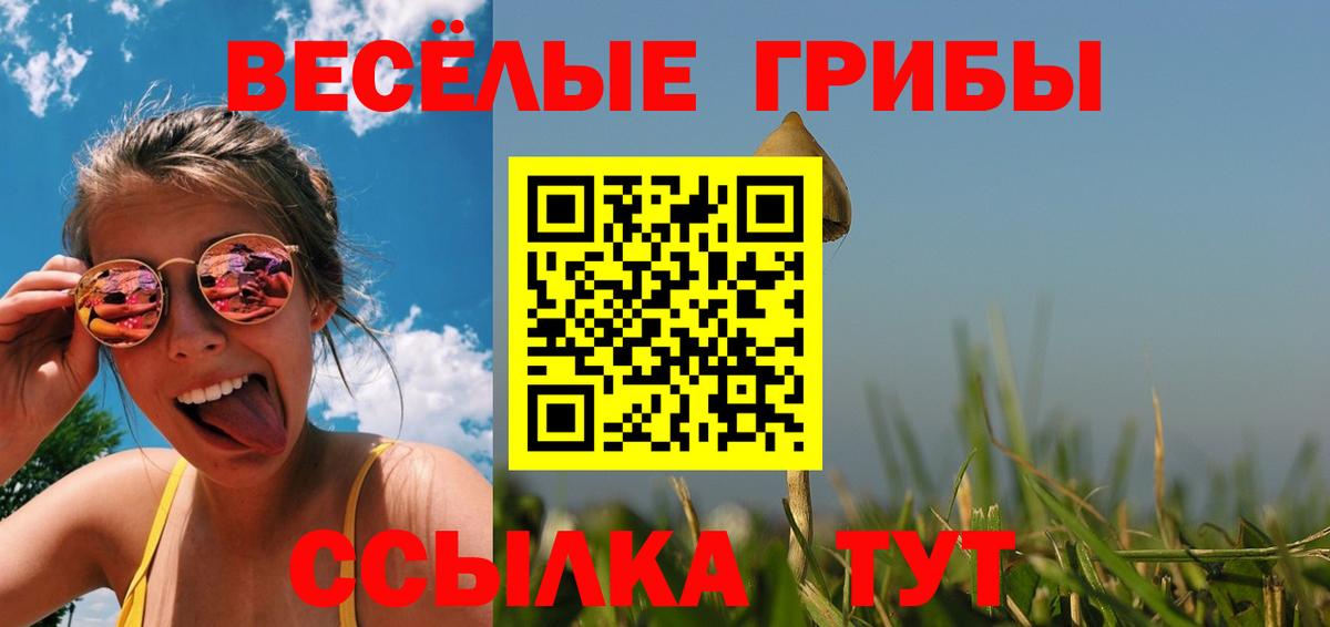 Псилоцибиновые грибы прущие грибы Санкт-Петербург